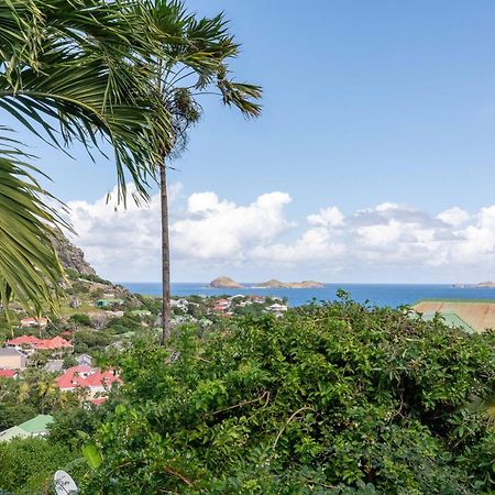 Art Et Mer Suite Saint Barth Anse Des Cayes Eksteriør bilde